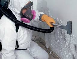 Best Asbestos and Lead Testing During Mold Inspection  in Elwood, IL